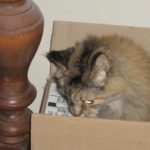 Martha in a box